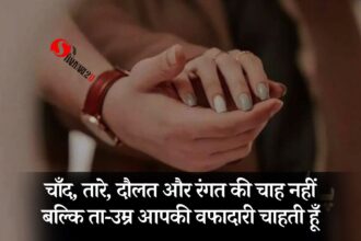 Best 60+ Heart Touching Love Shayari in Hindi 2024