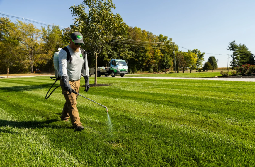 Weed Control Treatments To Eliminate Stubborn…